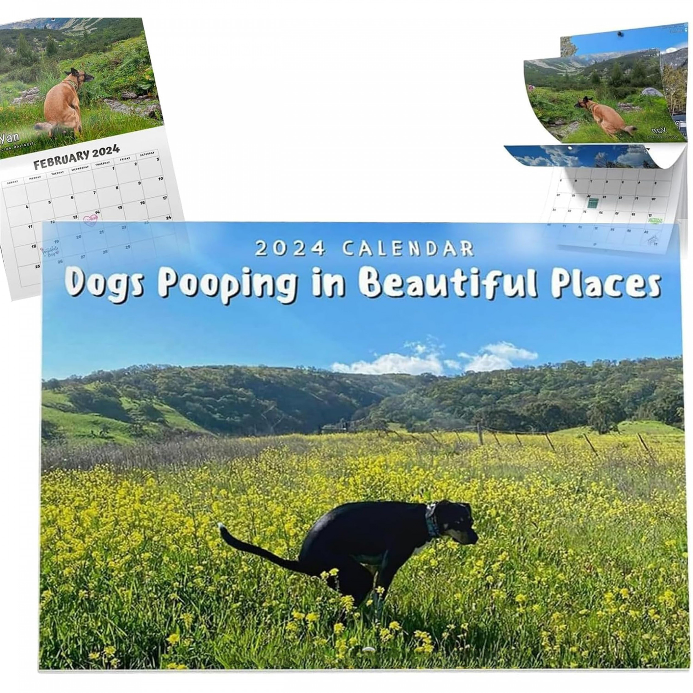 Dogs Pooping in Beautiful Places Wall Calendar x