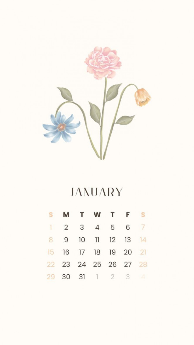 January  free aesthetic calendar wallpaper / lock screen