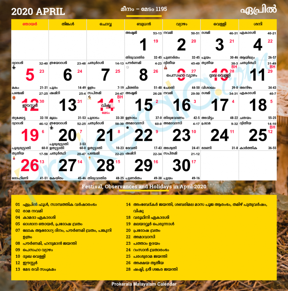 Malayalam Calendar , April