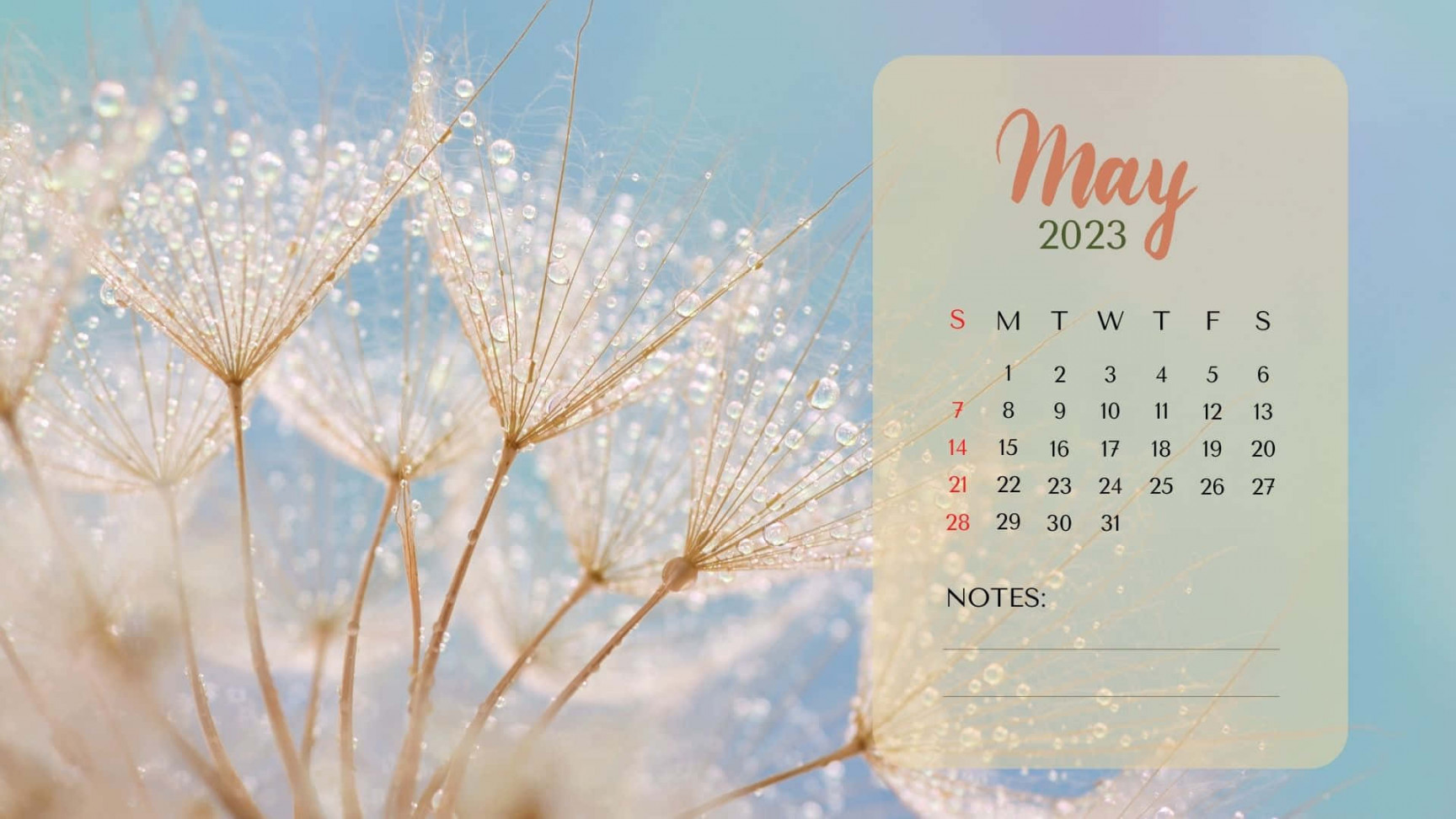 +] May  Calendar Wallpapers  Wallpapers