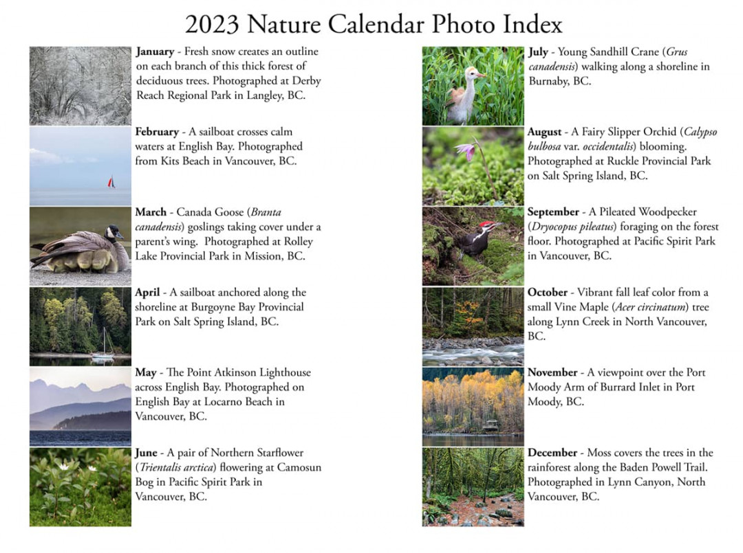 Nature Calendar Now Available!