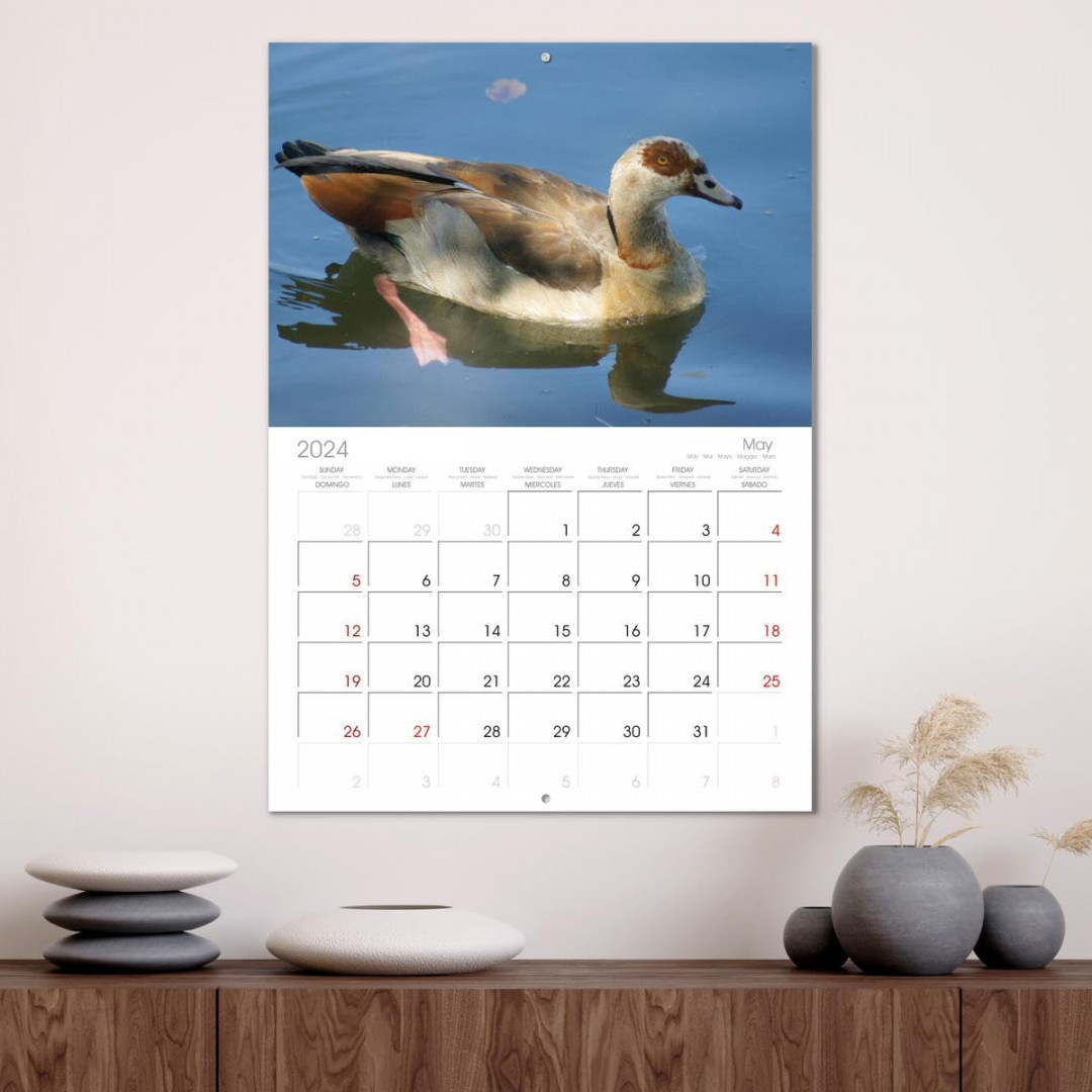 The life of the geese (Monthly Wall Calendar  ." x