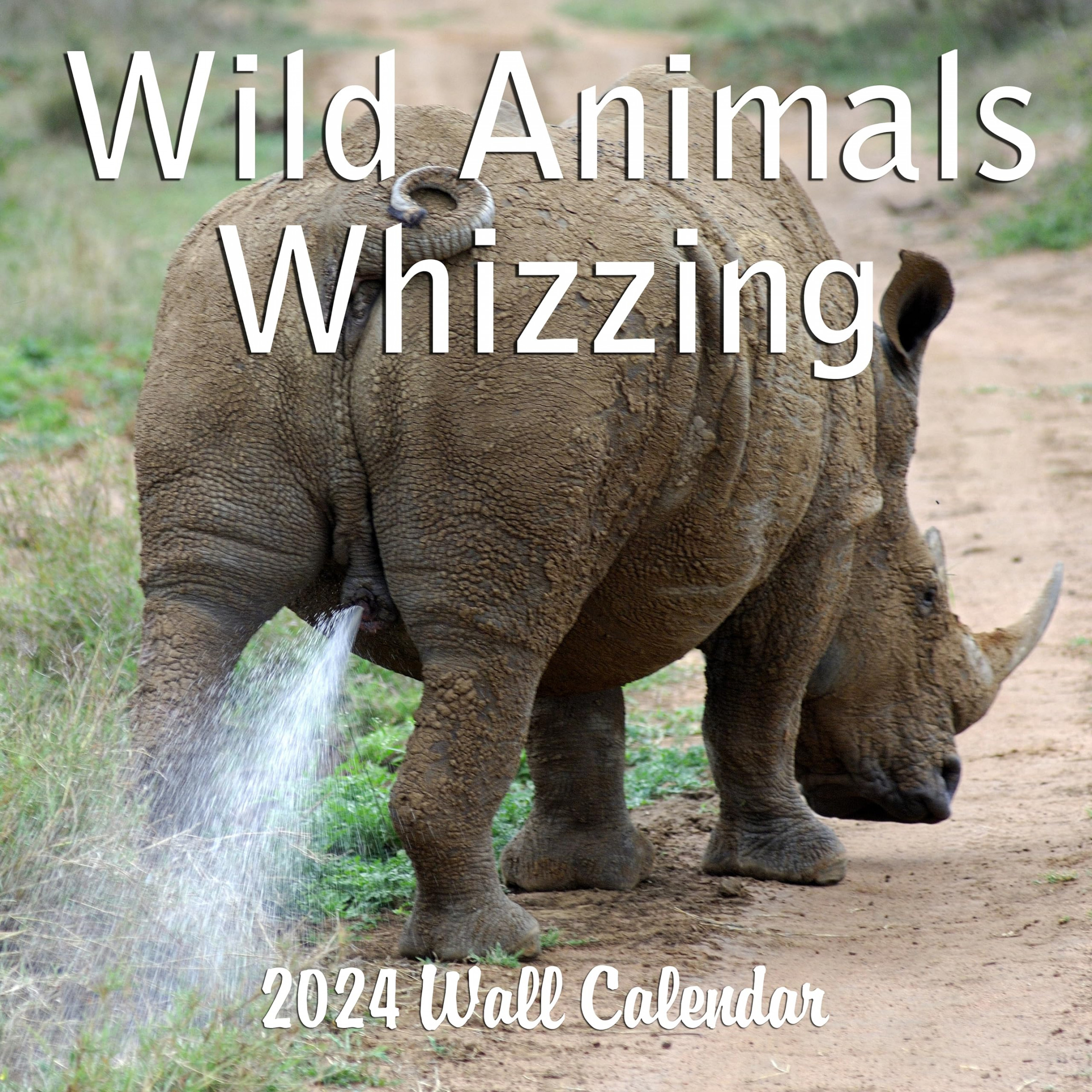 Wild Animals Monthly Wall Calendar Wild Animals Pooping  " x "   Funny Animals Calendar