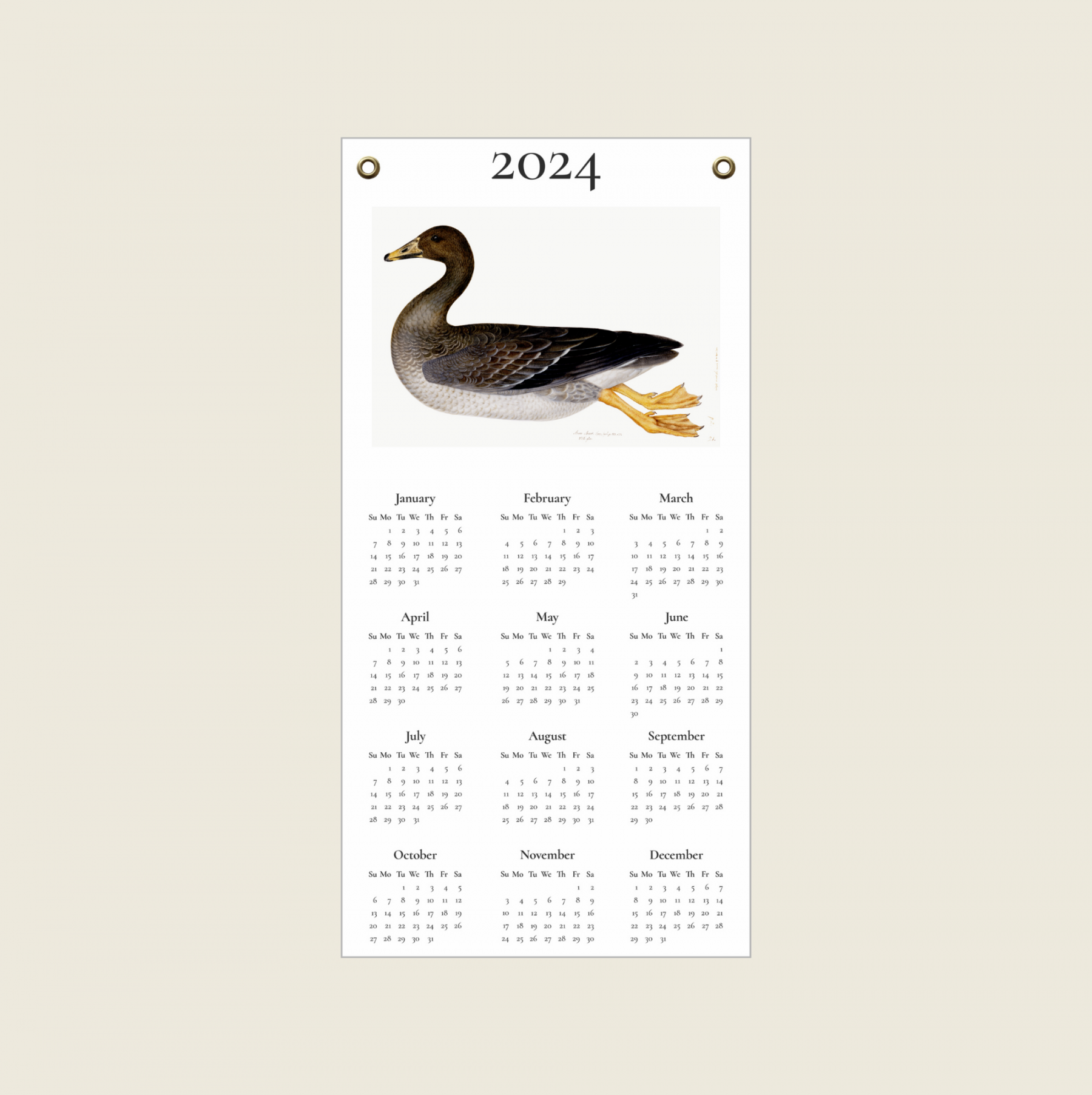 Calendar Featuring Olof Rudbeck
