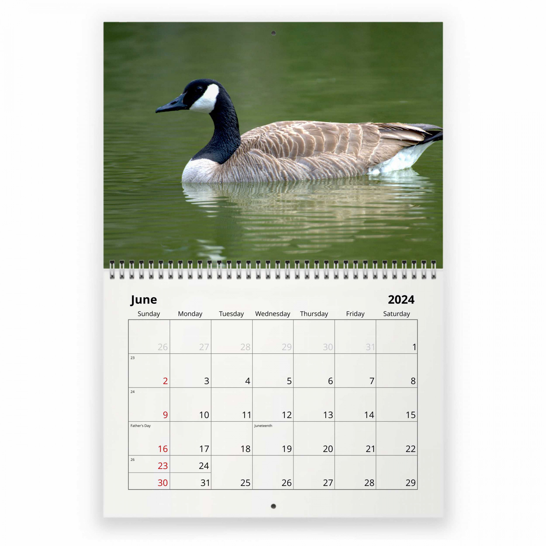 Goose wall calendar