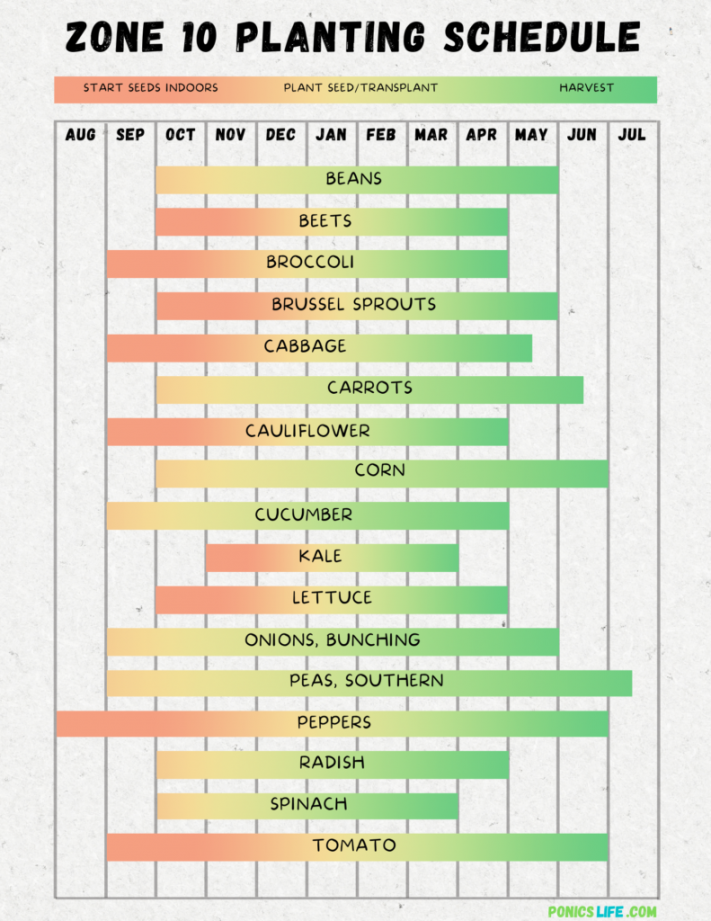 Zone  Planting Schedule and Calendar: A Quick Guide